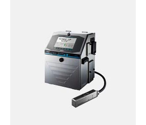 ���������˫���